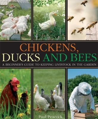 Cover of Chickens, Ducks and Bees: A beginner's guide to keeping livestock in the garden