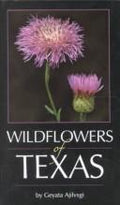 Cover of Wildflowers of Texas