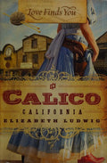 Cover of Love Finds You in Calico, California