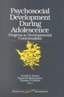 Cover of Psychosocial Development during Adolescence: Progress in Developmental Contexualism (Advances in Adolescent Development)