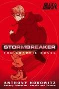 Cover of Stormbreaker