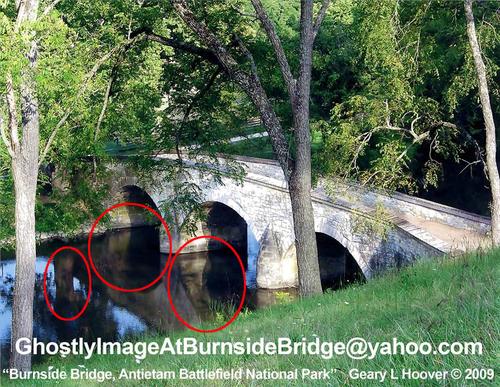 Cover of Burnside's Bridge: Antietam (Battleground America)