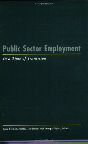 Cover of Public Sector Employment in a Time of Transition (LERA Research Volume)