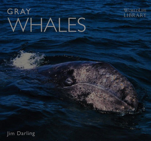 Cover of Gray Whales (Worldlife Library)