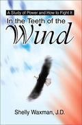 Cover of In the Teeth of the Wind: A Study of Power and How to Fight It