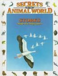Cover of Storks: Majestic Migrators (Secrets of the Animal World)