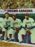 Cover of The Negro Leagues (African-American Achievers)