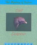 Cover of Calf to Dolphin (Lifewatch)