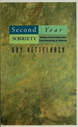 Cover of Second Year Sobriety: Getting Comfortable Now That Everything Is Different